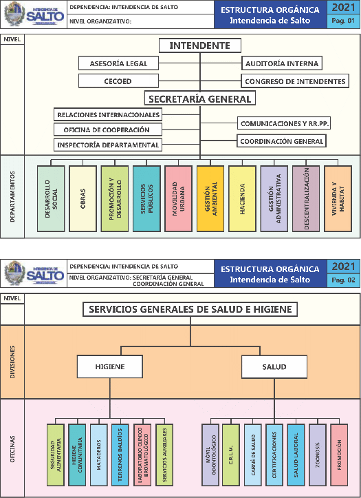 Organigrama general de la Intendencia de Salto para el período 2020-2025