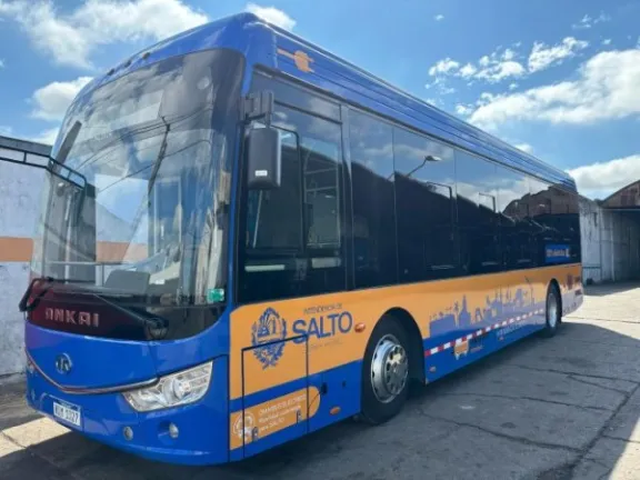 bus