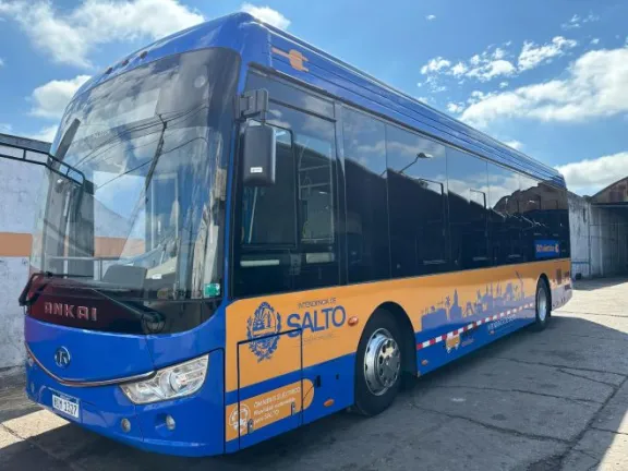 omnibus